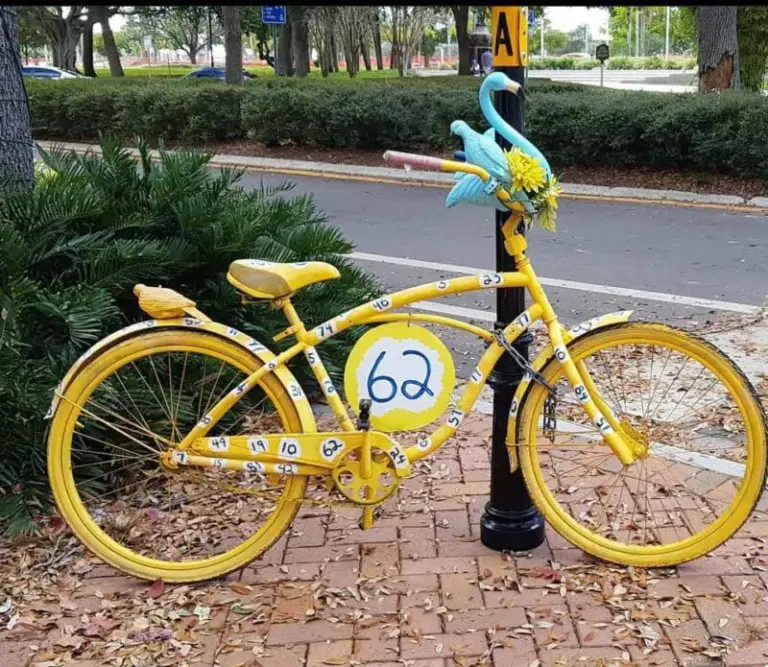 bicicletas decoradas Sarasota jpeg