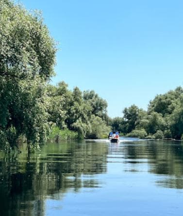 Delta del Danubio