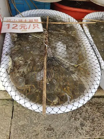 Descubriendo la autentica comida china. Guía esencial para el viajero