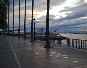 Paseo Marítimo en Marbella