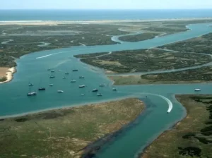 Parque Natural de la Ría Formosa en el Algarve, Portugal: Guía esencial