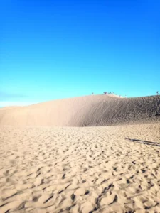 Qué hacer en las Dunas de Maspalomas