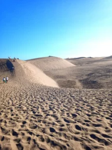 Qué son las Dunas de Maspalomas