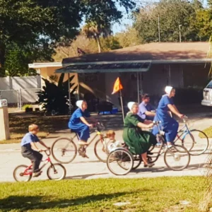 Descubriendo la fascinante Comunidad Amish en Sarasota, Florida. Que saber antes de tu visita