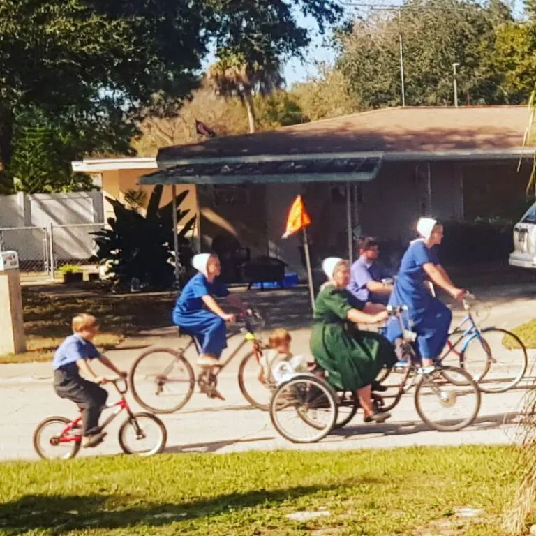 Comunidad Amish en Sarasota